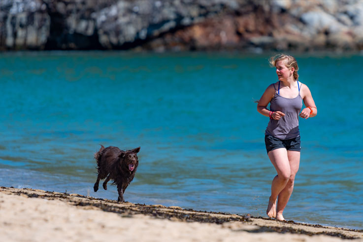 5 tips om je hond actief en in beweging te houden