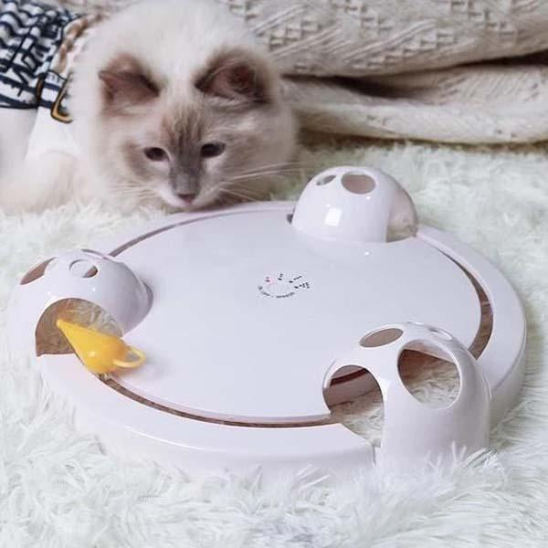 KittyBot Interactief Muisspel