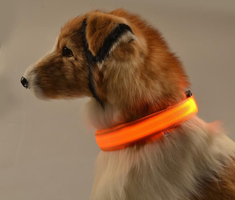 GlowFriend LED Halsband (USB Oplaadbaar)