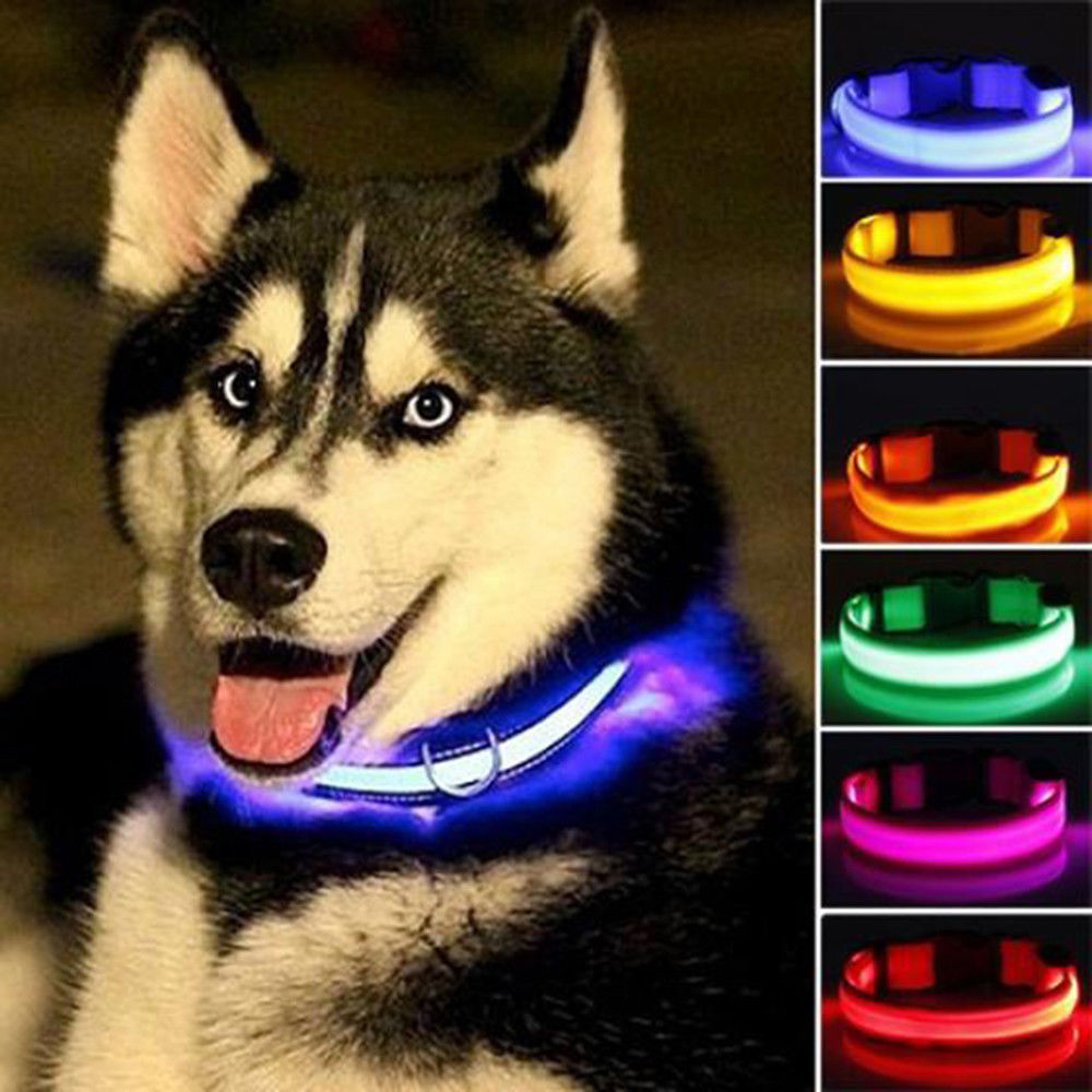 GlowFriend LED Halsband (USB Oplaadbaar)