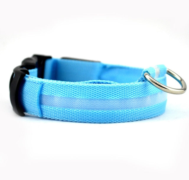 GlowFriend LED Halsband (USB Oplaadbaar)