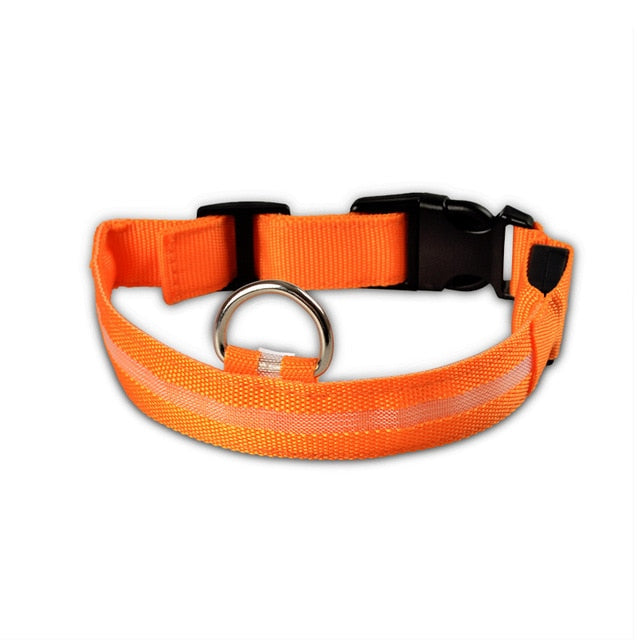 GlowFriend LED Halsband (USB Oplaadbaar)