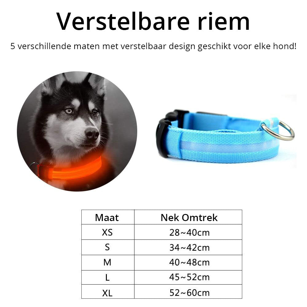 GlowFriend LED Halsband (USB Oplaadbaar)