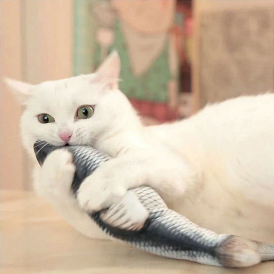 Spartelende Vis Kattenspeeltje (USB oplaadbaar)