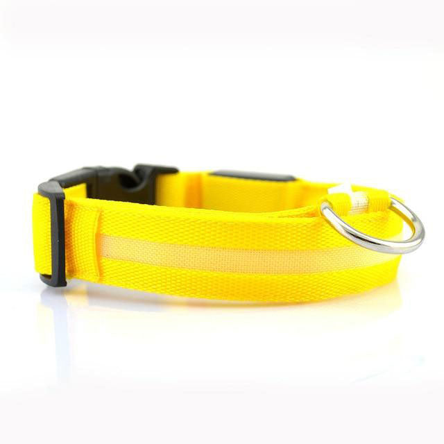 GlowFriend LED Halsband (USB Oplaadbaar)