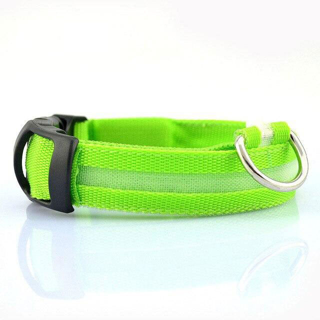 GlowFriend LED Halsband (USB Oplaadbaar)