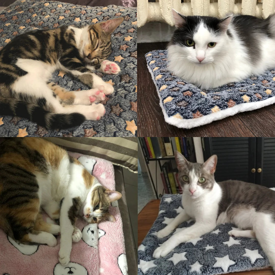 FluffLife Kalmerend Huisdierdeken