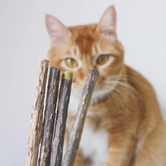 Matatabi Zen Kauwstokjes voor Katten