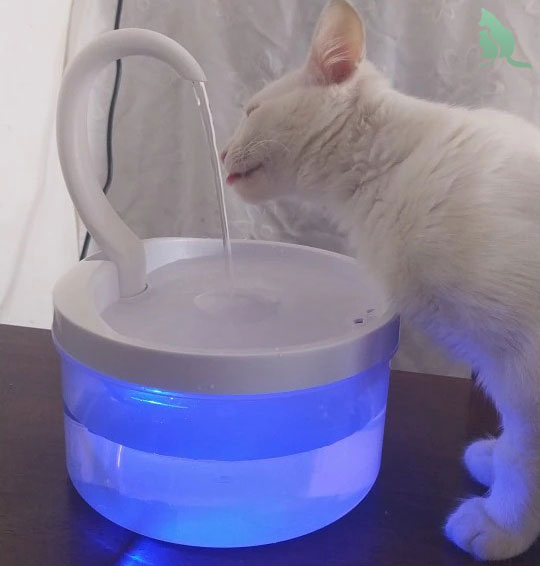 FreshAqua Drinkfontein 2.0 voor Katten