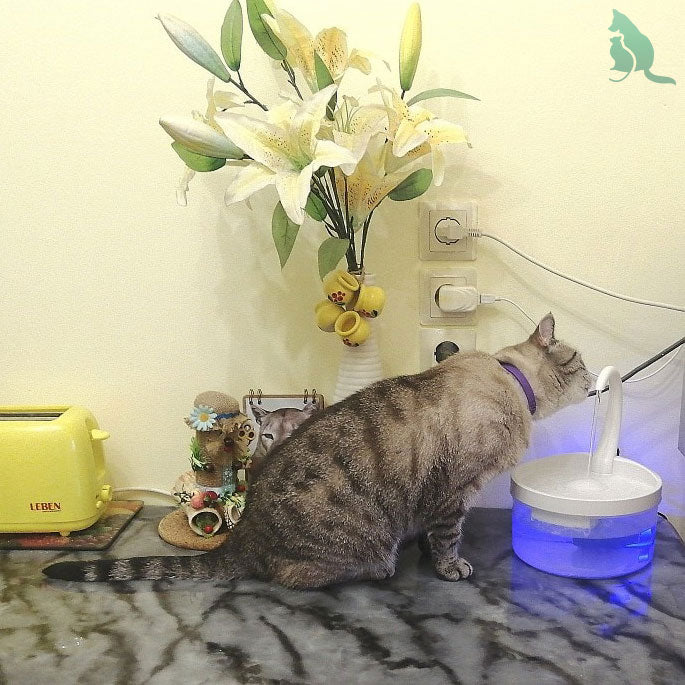 FreshAqua Drinkfontein 2.0 voor Katten