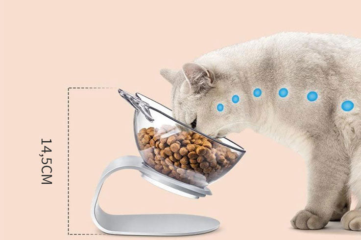 3 redenen om je kat uit een verhoogde voerbak te laten eten