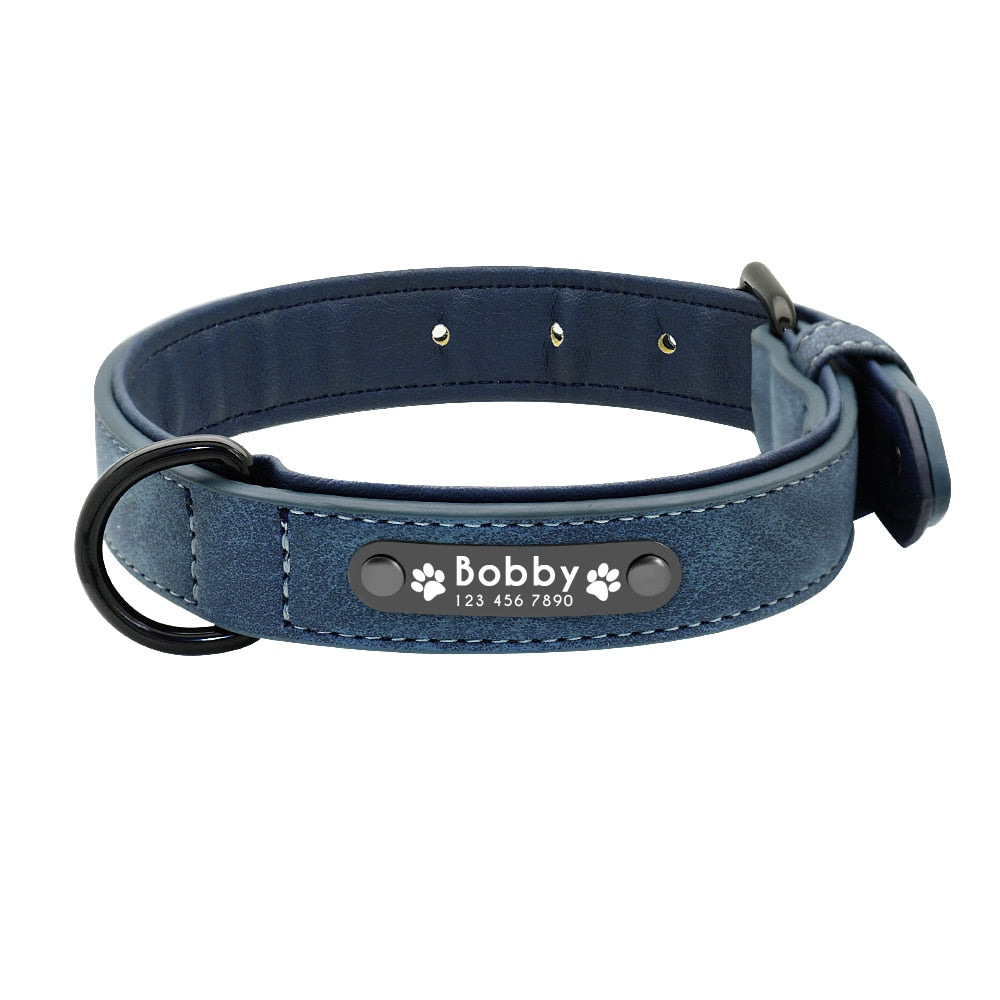 Hondenhalsband et Airtag-houder – De 15 beste producten vergeleken Hondenhalsband et Airtag-houder – De 15 beste producten vergeleken